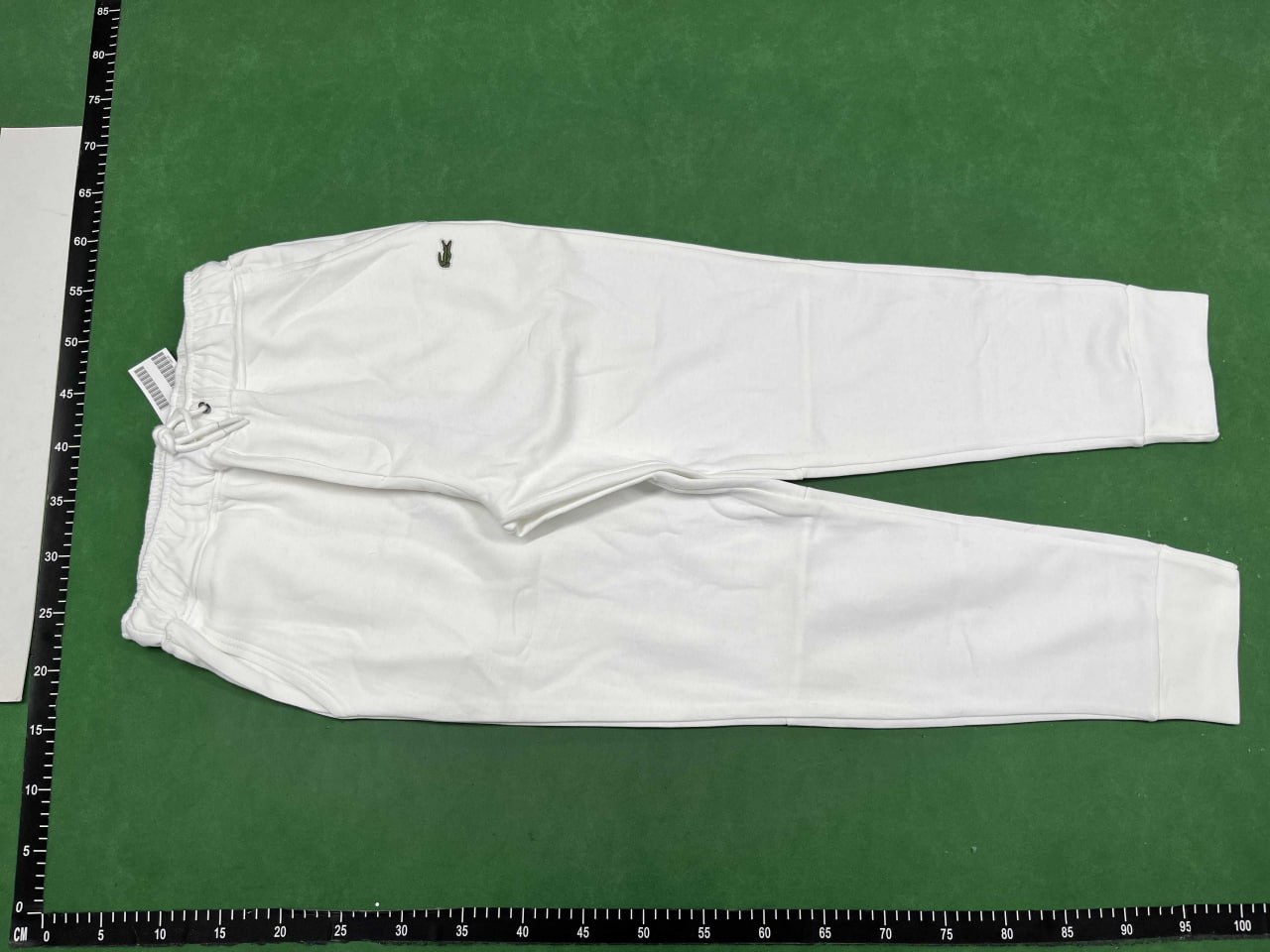 Lacoste Hoodie Suit