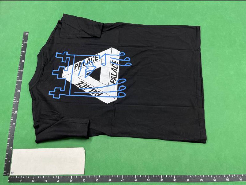 palace T-shirt (40 CP)