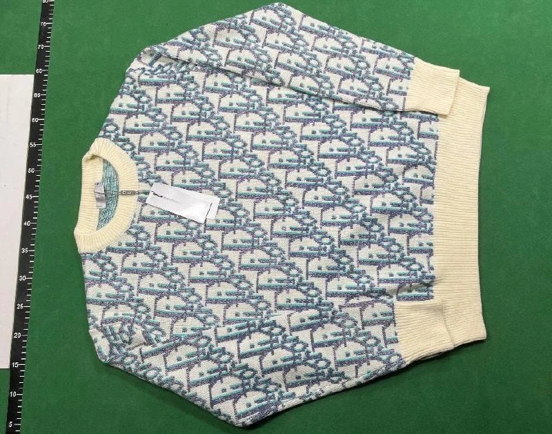 Dior Gucci sweater
