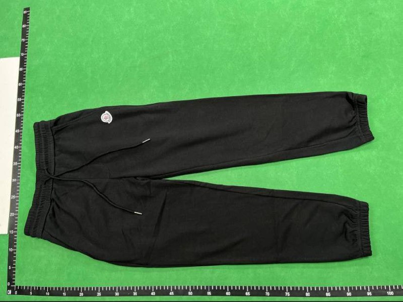 Moncler Hoodie Sweatshirt [Down Jacket Style]