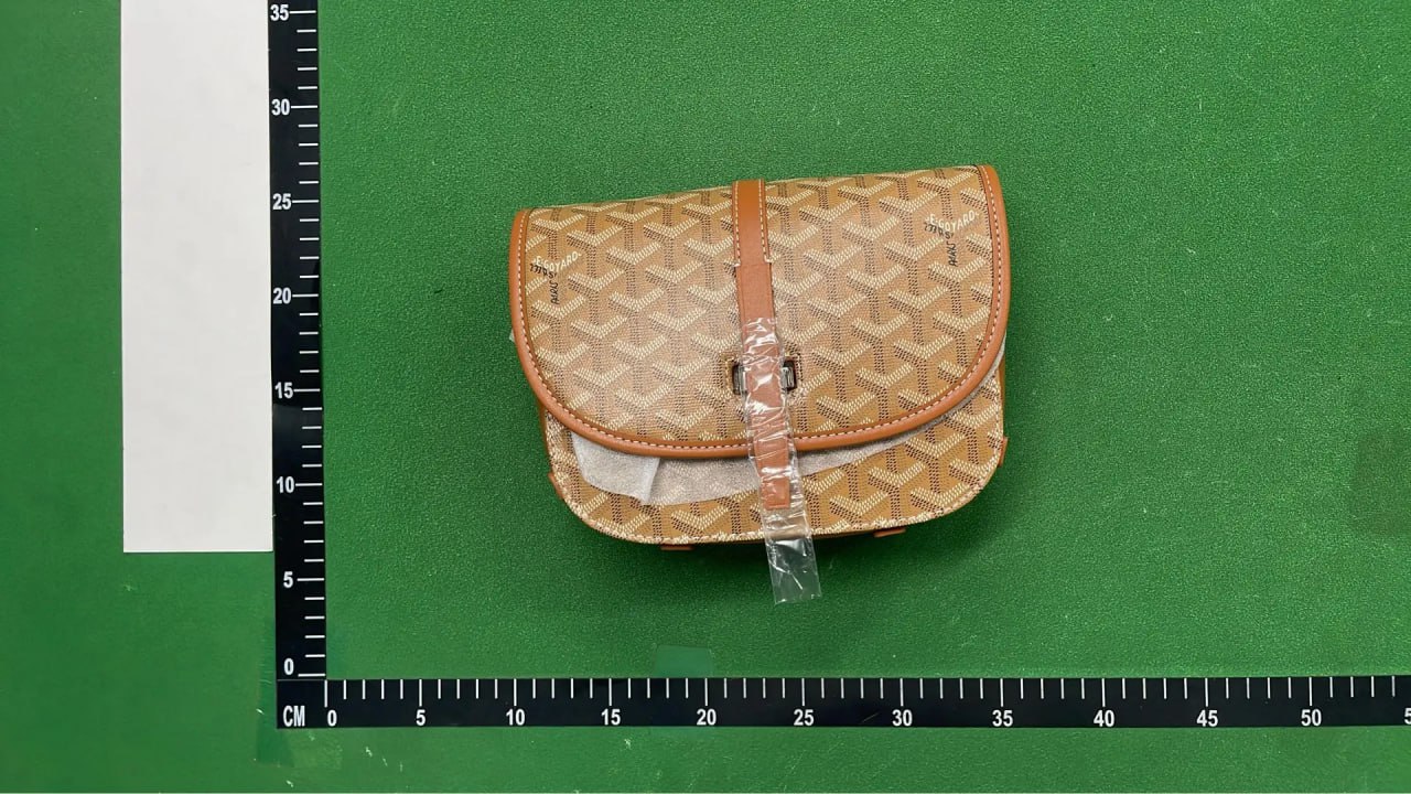 Goyard Saint Louis PM Shoulder Bag