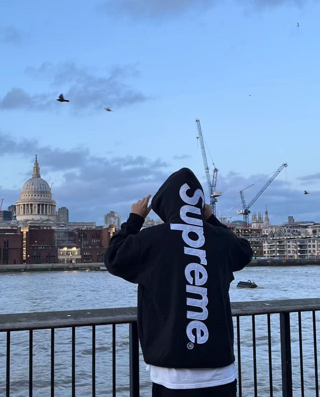 Supreme Box Logo Hoodie / Sup Hoodie [Multiple Colors & Styles]