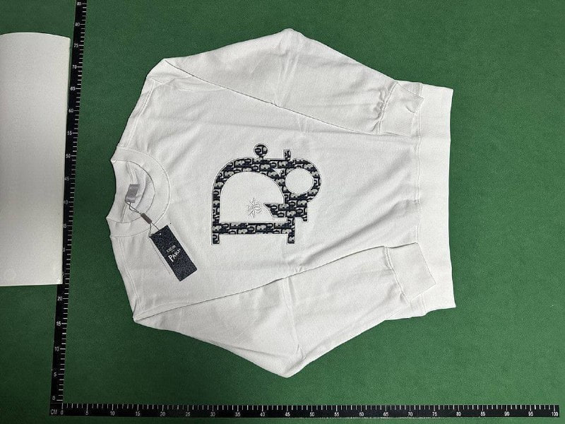 Dior Oblique Hoodies & Sweatshirts [30+ styles]