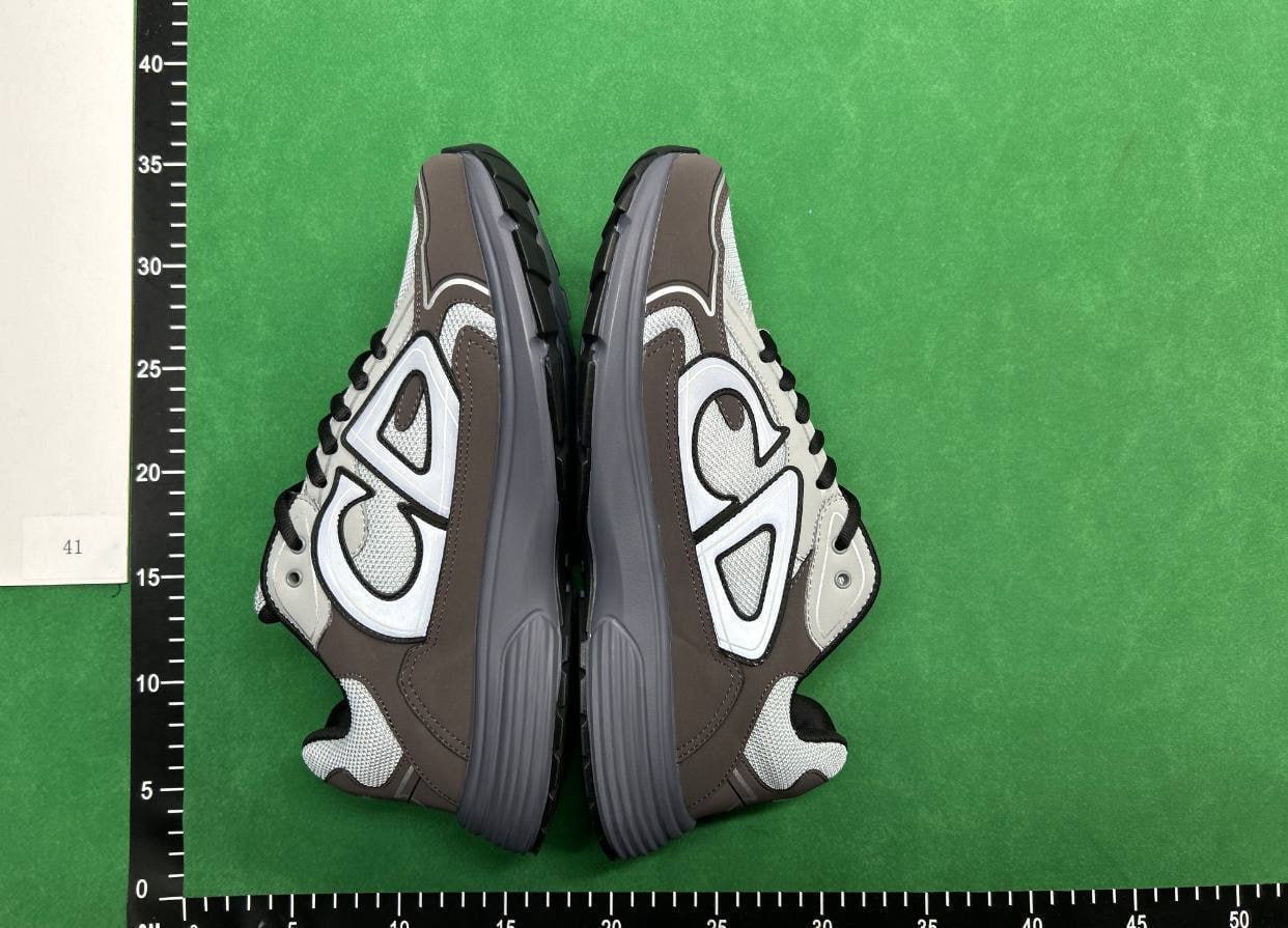 Dior B22/ B30 shoes (34 CP)