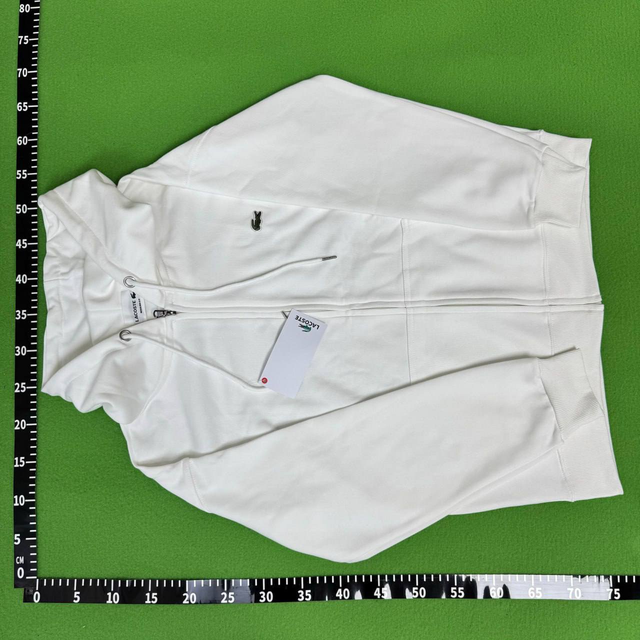 LACOSTE Crocodile Graphic Sweatshirt [40 styles]