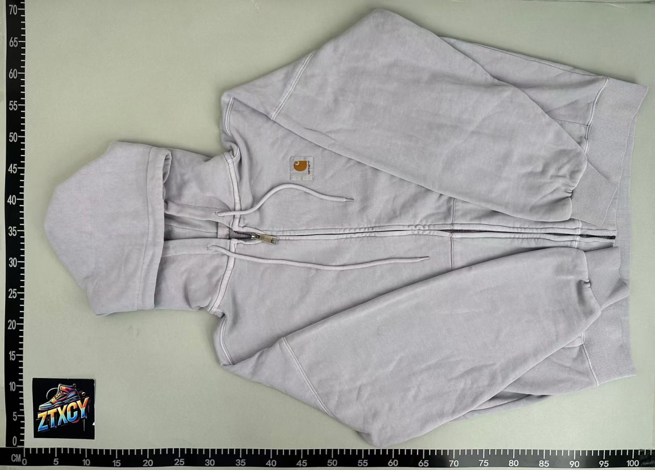 Carhartt Hooded Sweatshirt [3 styles]