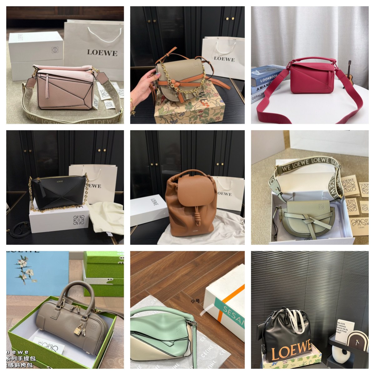 Lacoste and Loewe Bags [40 styles]