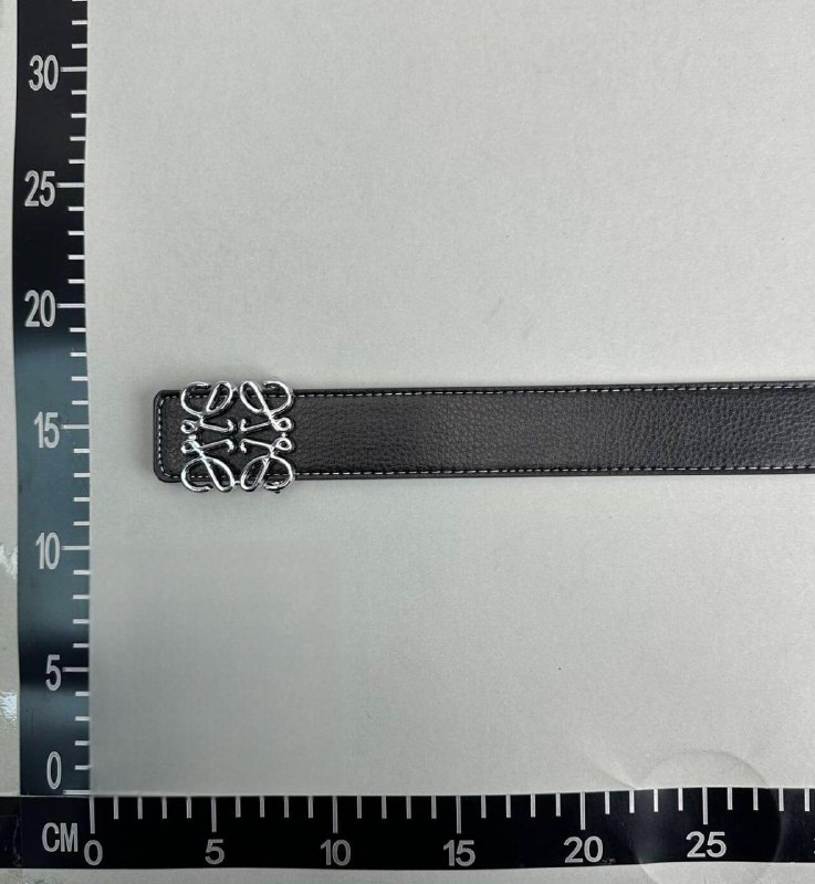 Loewe Anagram Belt [10 styles]