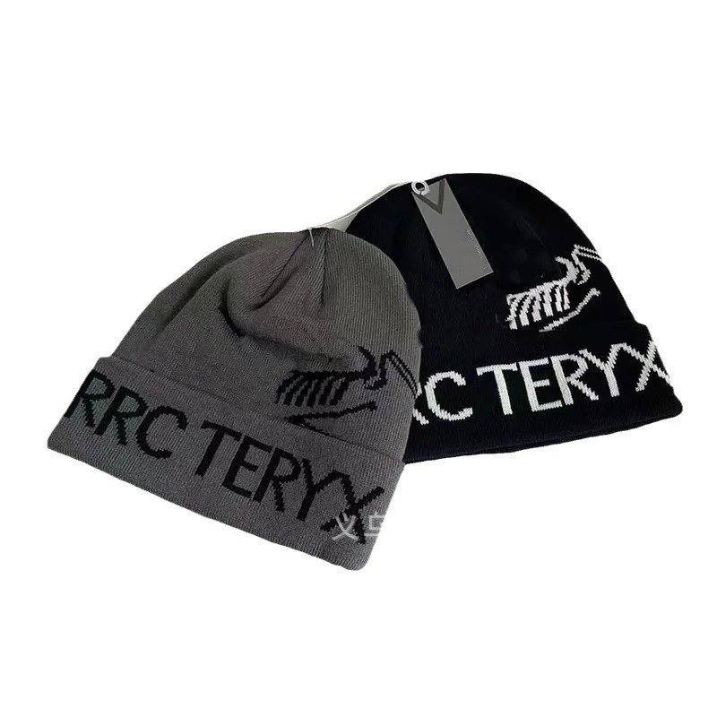 Arc'teryx Dino Knit Beanie