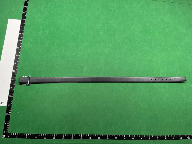 FENDI FF Logo Belt [40 styles]