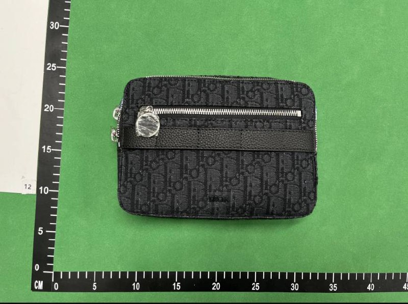 Dior Saddle Bag [40 styles]