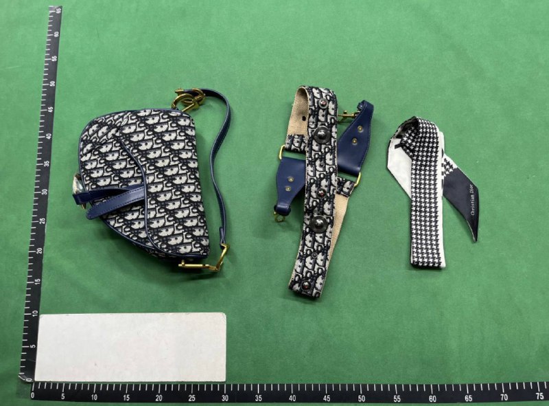 Dior Saddle Bag [40 styles]