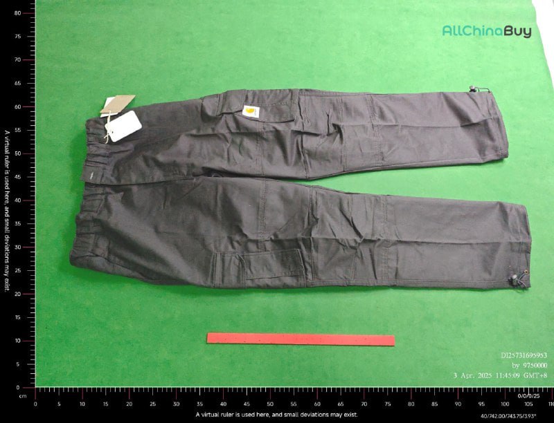 Carhartt Work In Progress Cargo Pants [4 styles]